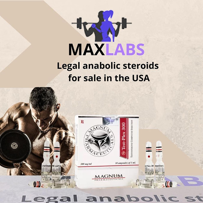 Magnum Test-Plex 300