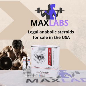 test-prop 100 on maxlabs.co