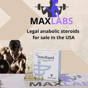 testo rapid 100 mg on maxlabs.co