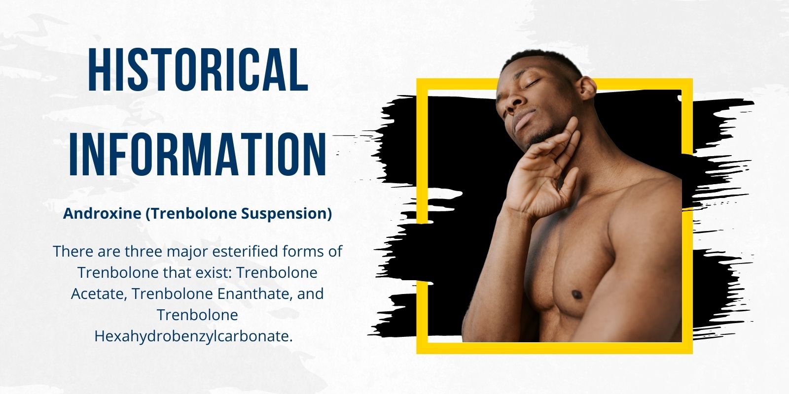 Historical Information Androxine (Trenbolone Suspension)