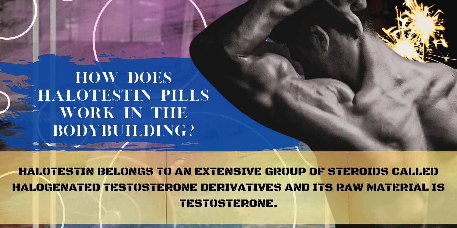 How does Halotestin pills work in the bodybuilding_